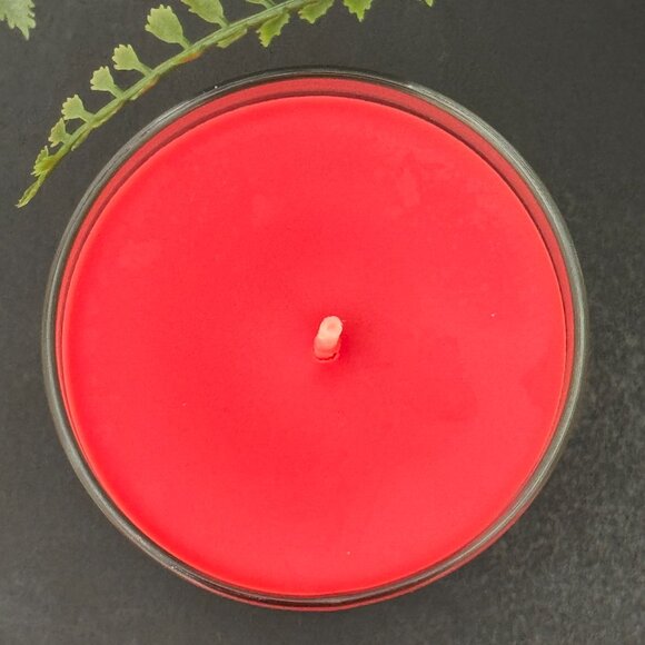 BBW Winter Candy Apple Bath & Body Works Single Wick Candle - Picture 7 of 10